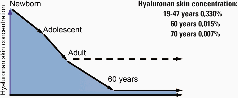 Hyaluronic skin concentration