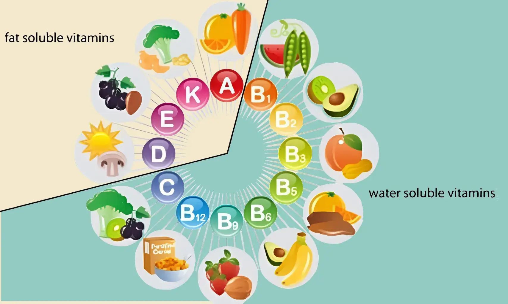Fat-Soluble vs Water Soluble