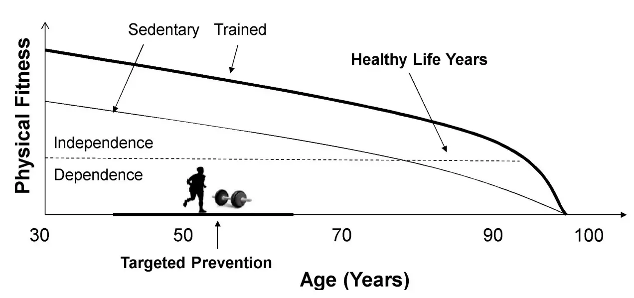 disability-free life expectancy chart vo2max